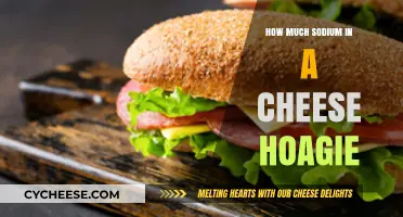 Sodium Content in Cheese Hoagies: A Nutritional Breakdown