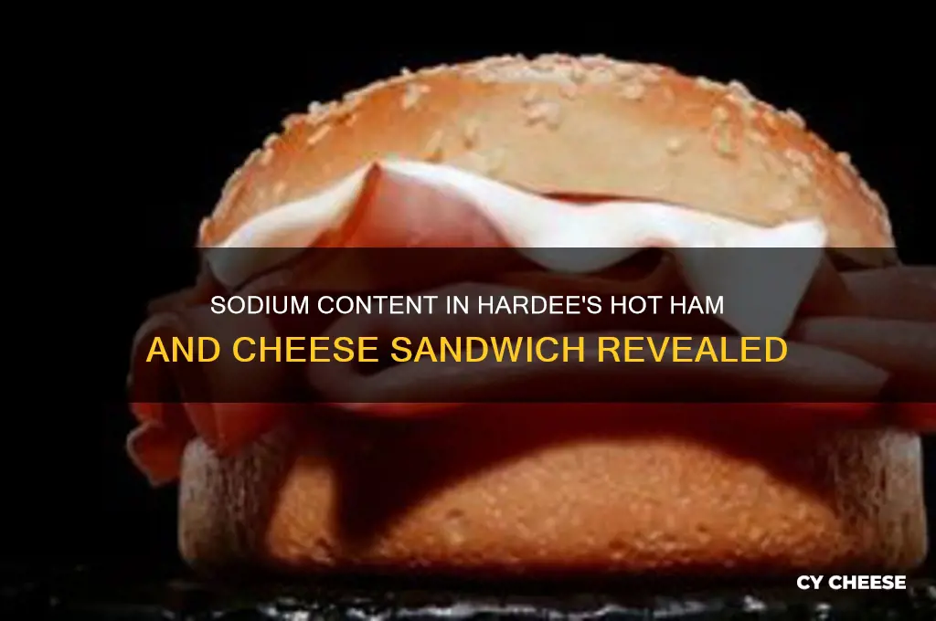 how much sodium in a hardee