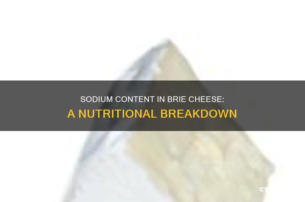 how much sodium in brie cheese