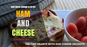 Sodium Content in Hot Ham and Cheese Sandwiches: What You Need to Know