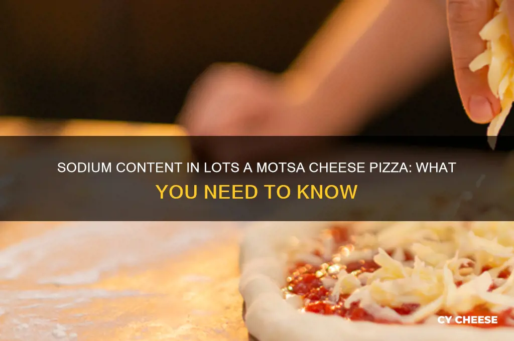 how much sodium is in lots a motsa cheese pizza