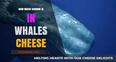 Unveiling Sodium Levels in Whale Cheese: A Surprising Nutritional Insight