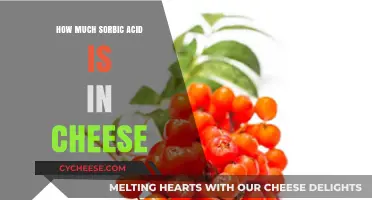 Sorbic Acid in Cheese: Understanding Its Role and Typical Levels