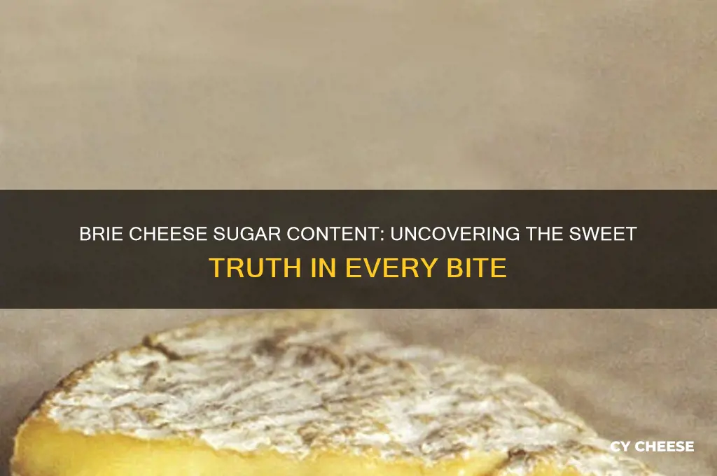 how much sugar in brie cheese