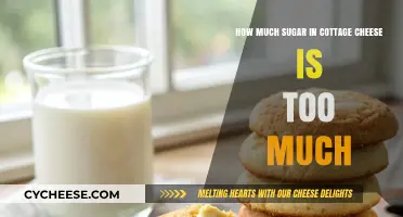 Cottage Cheese Sugar Content: How Much is Too Much?