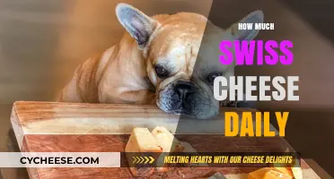 Daily Swiss Cheese Intake: Balancing Flavor and Health Benefits