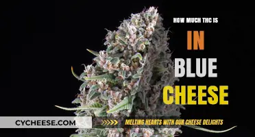 THC Levels in Blue Cheese: Unveiling the Cannabis Connection