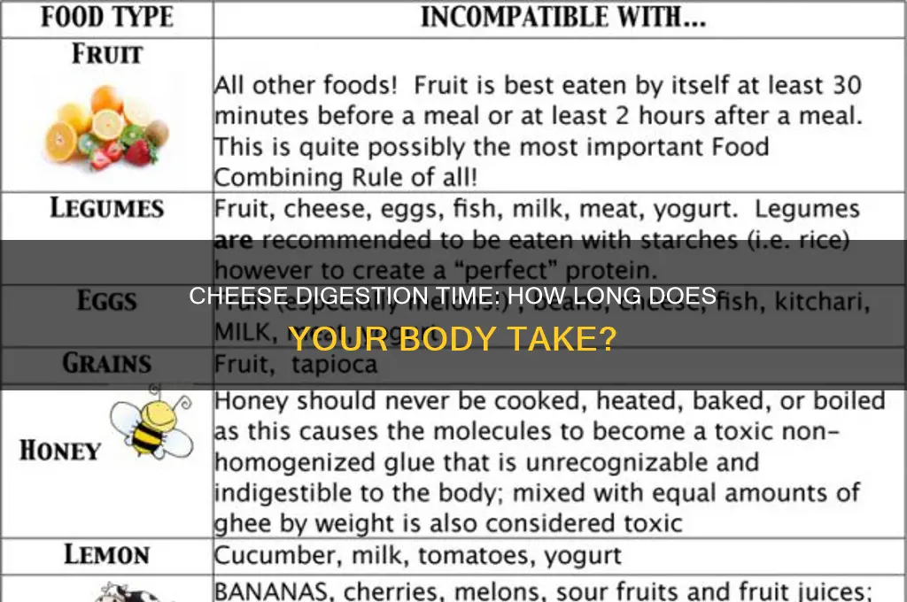 how much time cheese take to digest