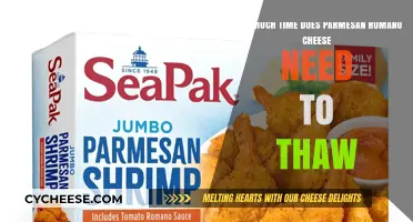 Thawing Parmesan Romano Cheese: Optimal Time for Perfect Texture