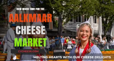 Exploring Alkmaar Cheese Market: Ideal Time to Visit and Enjoy