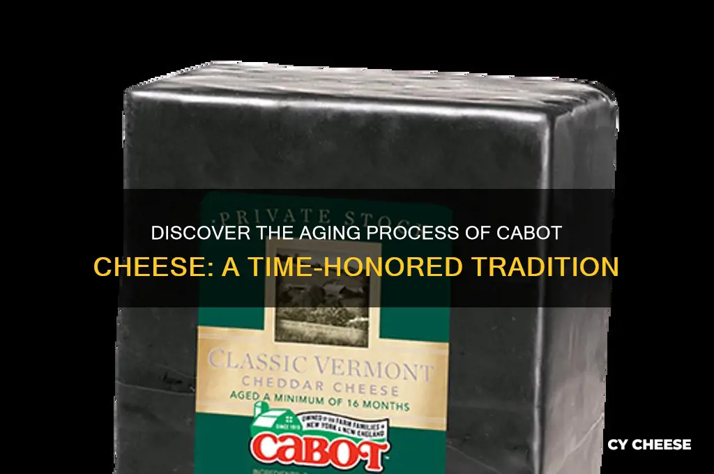 how much time is aged the cabot cheese aged