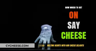 Say Cheese Budget: Cost Guide for Perfect Photo Smiles