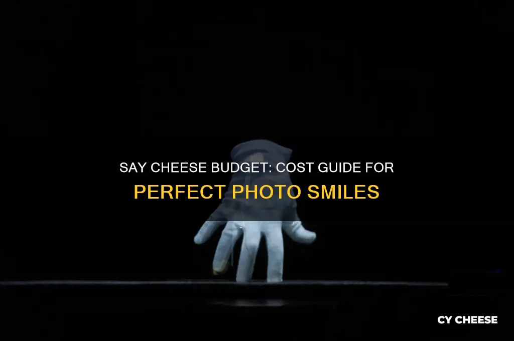 how much to get on say cheese