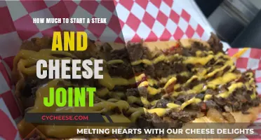 Starting a Steak and Cheese Joint: Budgeting for Success