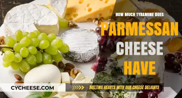 Parmesan Cheese Tyramine Levels: What You Need to Know