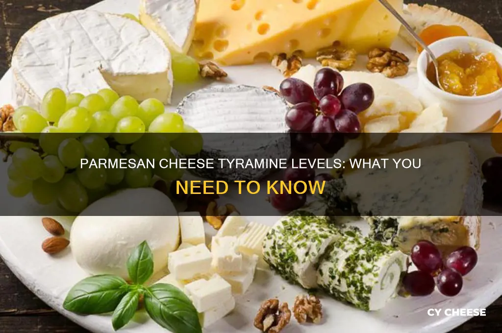 how much tyramine does parmessan cheese have
