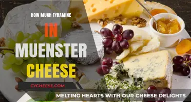 Tyramine Levels in Muenster Cheese: What You Need to Know