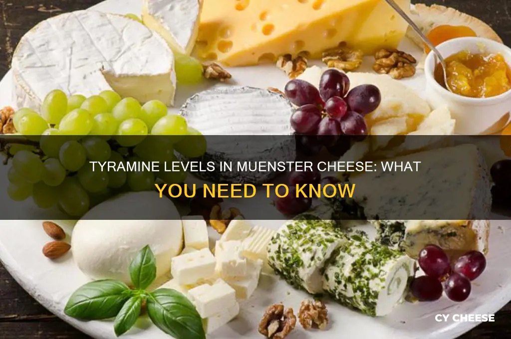 how much tyramine in muenster cheese