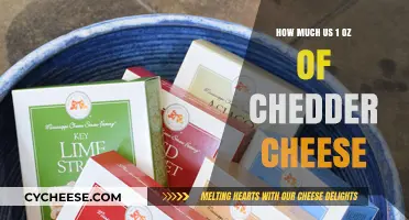 Measuring Cheddar Cheese: How Much is 1 Oz in Simple Terms