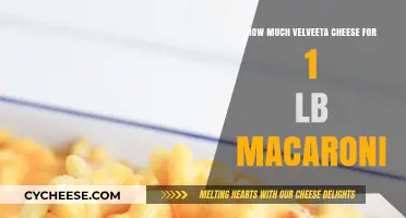 Perfect Velveeta Cheese Ratio for 1 Pound Macaroni: A Guide