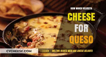 Perfect Velveeta Cheese Measurements for Creamy, Delicious Queso Dip