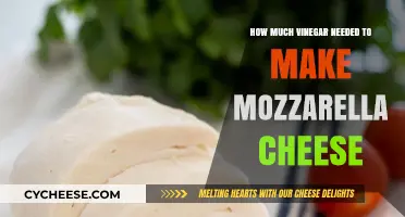 Perfect Mozzarella Cheese: Vinegar Quantity Guide for Homemade Success