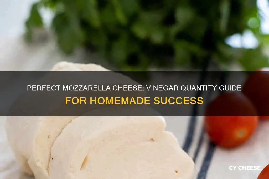 how much vinegar needed to make mozzarella cheese