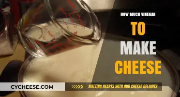 Perfect Cheese Making: Vinegar Quantity Guide for Homemade Cheese