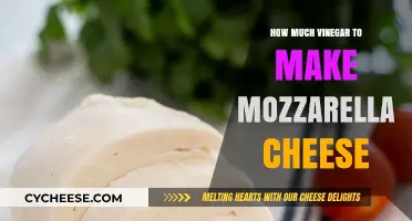 Perfect Mozzarella Cheese: Vinegar Quantity Guide for Homemade Cheese Making