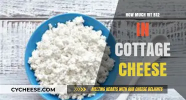 Cottage Cheese and Vitamin B12: Uncovering Its Nutritional Value