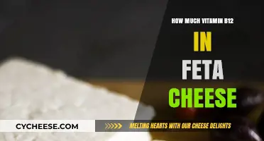Vitamin B12 in Feta Cheese: Nutritional Value and Benefits Revealed