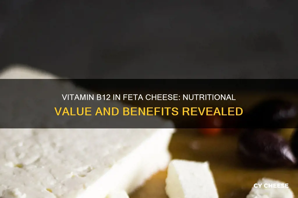 how much vitamin b12 in feta cheese