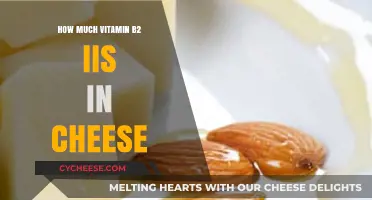 Vitamin B2 in Cheese: Uncovering the Nutritional Benefits and Content