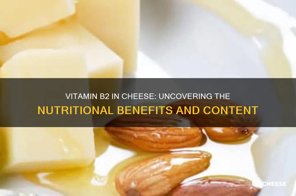 how much vitamin b2 iis in cheese