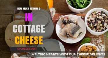 Vitamin D in Cottage Cheese: Surprising Nutritional Benefits Revealed