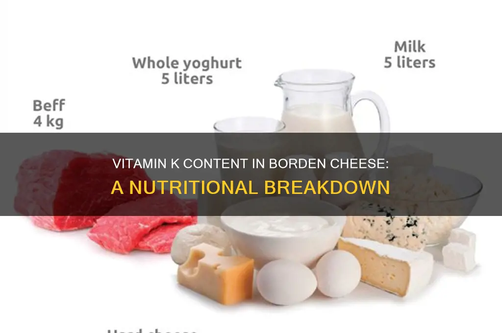how much vitamin k in borden cheese