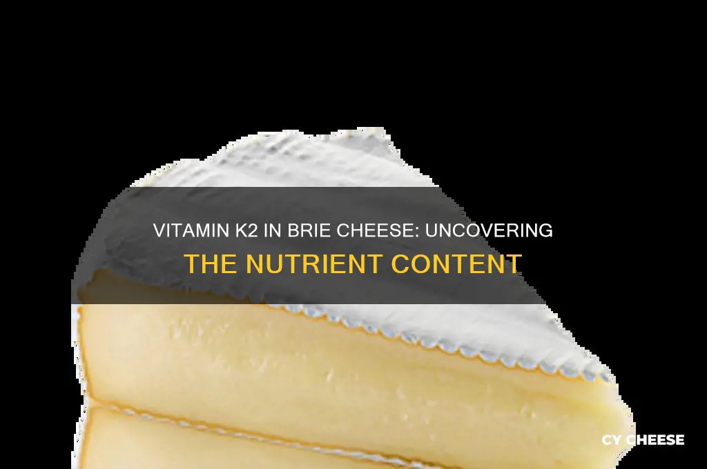 how much vitamin k2 in brie cheese