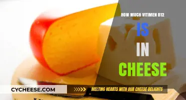 Vitamin B12 in Cheese: Uncovering the Nutritional Value and Benefits
