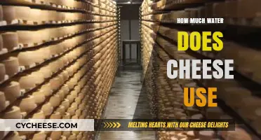 Cheese's Hidden Water Footprint: Uncovering Dairy's Surprising Environmental Impact