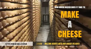 The Surprising Water Footprint Behind Every Slice of Cheese