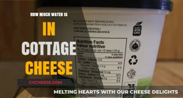 How Much Water is in Cottage Cheese: A Surprising Breakdown