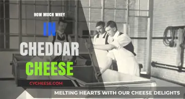 Understanding Whey Content in Cheddar Cheese: A Comprehensive Guide