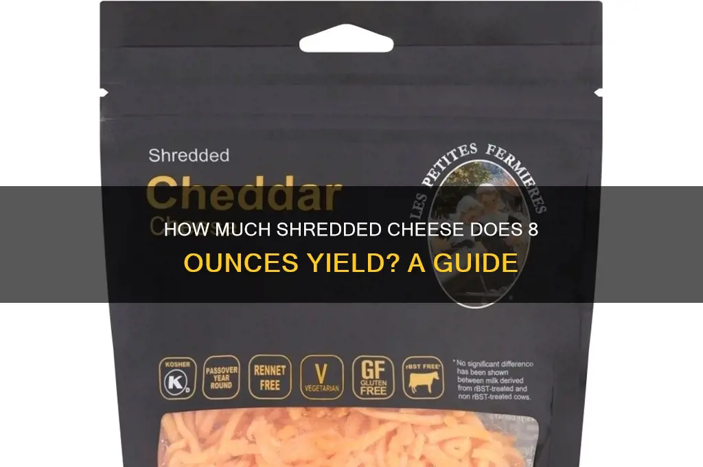 how much will 8 oz of cheese shread to
