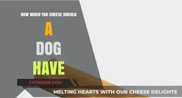 Yak Cheese for Dogs: Safe Serving Sizes and Benefits Explained