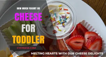 Toddler Nutrition Guide: Yogurt and Cheese Serving Sizes Explained