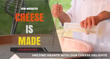 Unveiling the Art of Muenster Cheese: A Delicious Journey