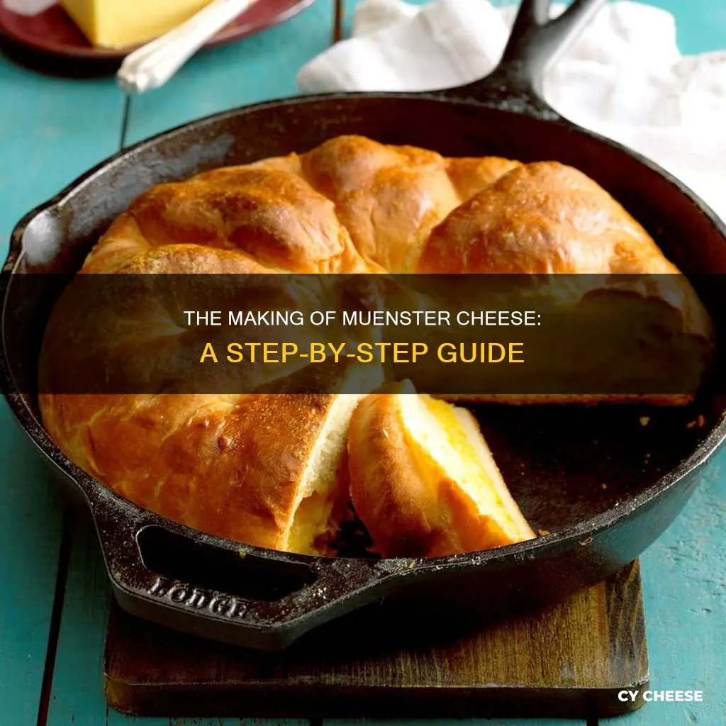 how muenster cheese is made