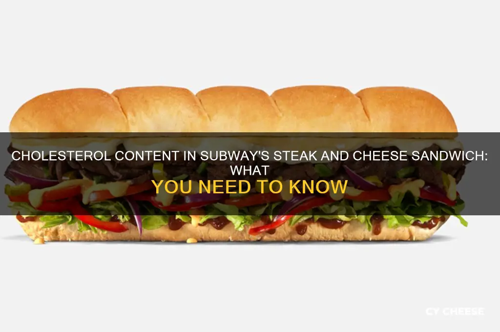 how muh cholestrol is in subway steak n cheese sandwich