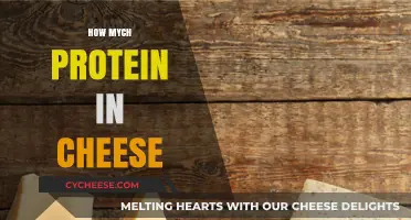 Discover the Protein Content in Cheese: A Nutritional Breakdown