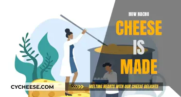 Nacho Cheese: A Tasty, Cheesy Adventure